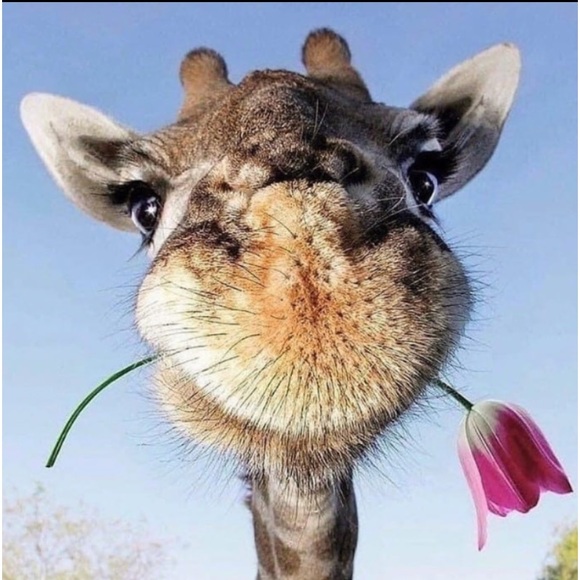 Art Class Open Front Cardigan with Pockets in Grey, Size XLarge (14/16) - Picture 17 of 17